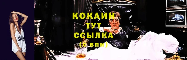дмт Абаза