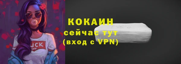дмт Абаза
