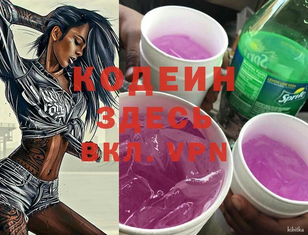 дмт Абаза