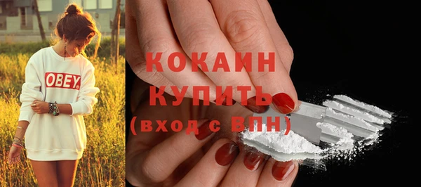 дмт Абаза