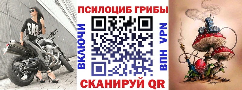 Псилоцибиновые грибы Cubensis  цена наркотик  Оренбург 