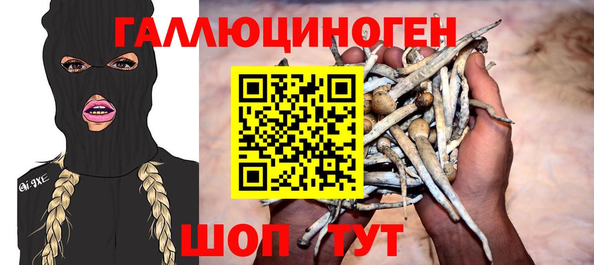 Галлюциногенные грибы Magic Shrooms Оренбург